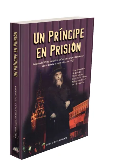 Un pr&iacute;ncipe en prisi&oacute;n